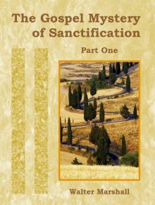 1_FirstPage_TheGospelMysteryofSanctification-PartOneWalterMarshall-4.jpg